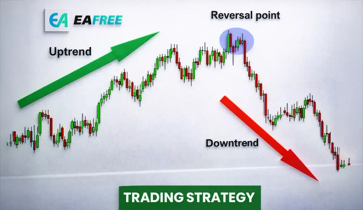 Best Trading Strategy for Beginners: Simple and Effective Guide
